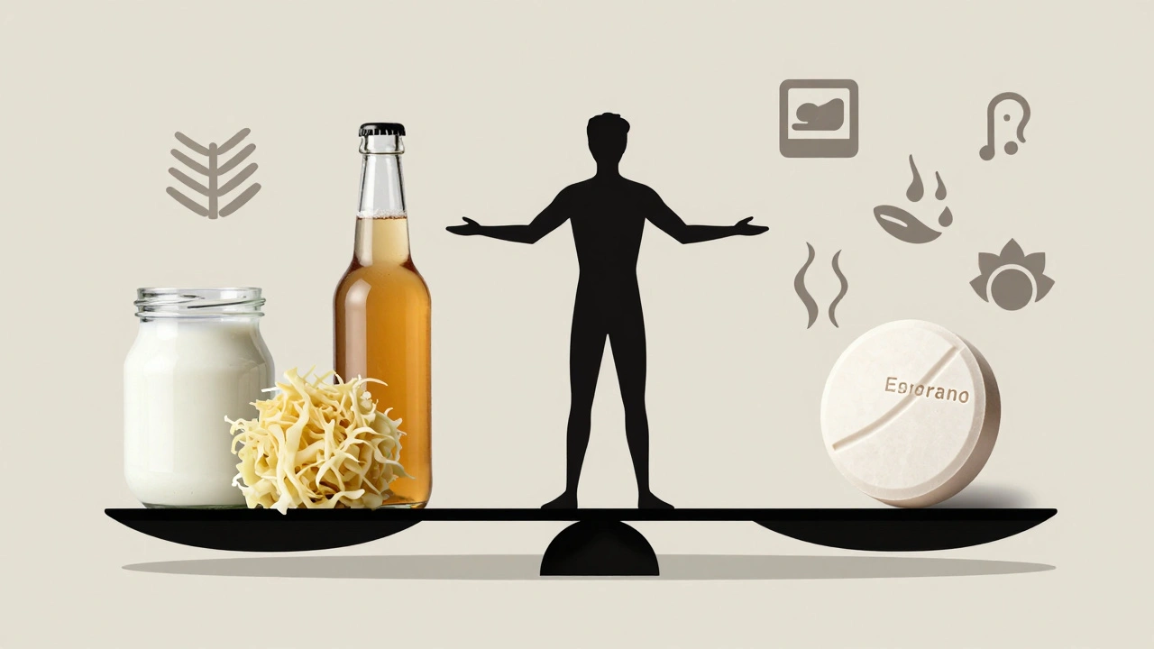 Scale balancing fermented foods and a probiotic pill, with lifestyle icons surrounding a human figure