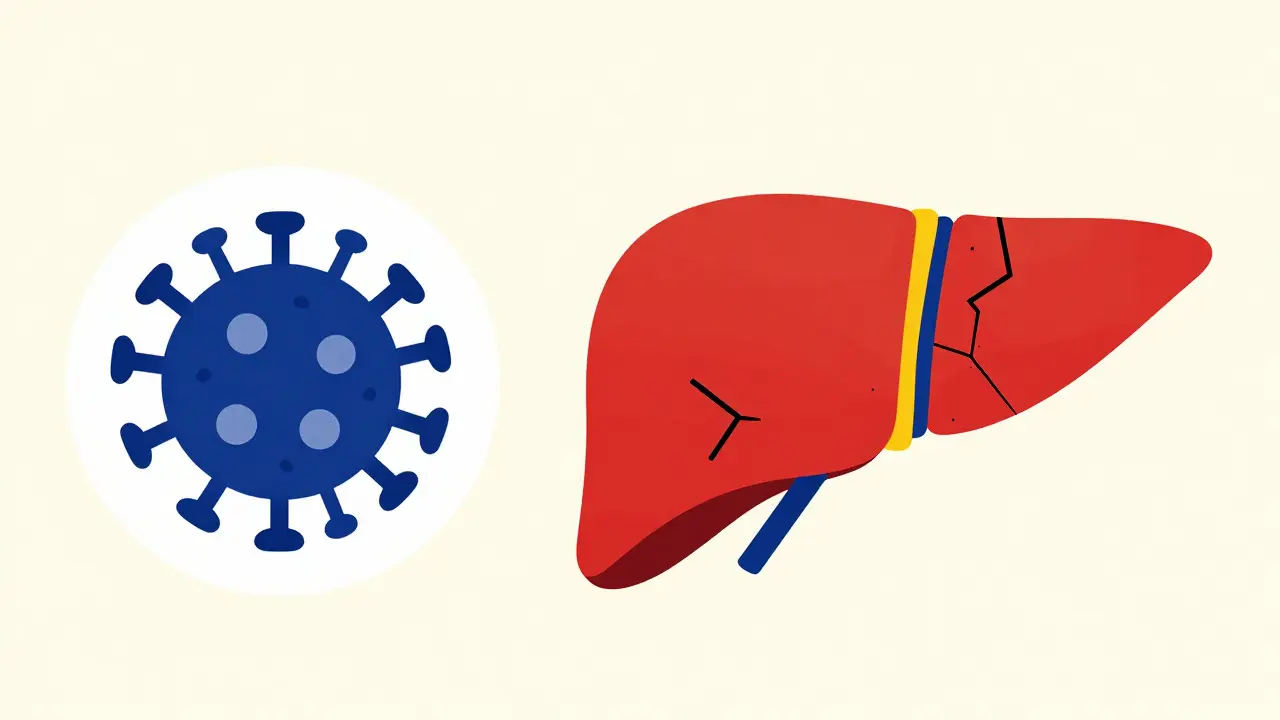 Liver Cancer Risk After SVR: Who Still Needs Screening?
