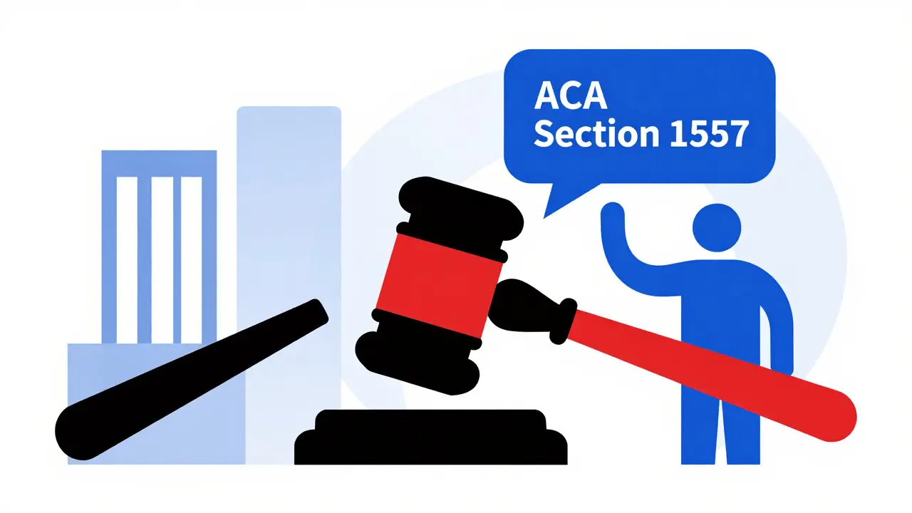 Abstract Bauhaus art of gavel and speech bubble symbolizing interpreter rights